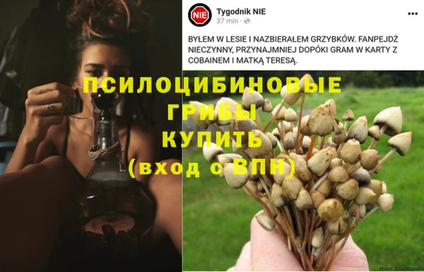 герыч Ахтубинск