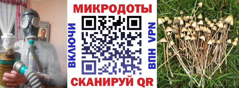 Галлюциногенные грибы MAGIC MUSHROOMS  гидра маркетплейс  Тбилисская 