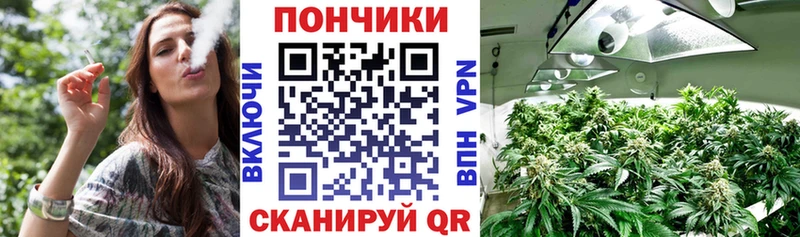 что такое Тбилисская Бошки марихуана индика